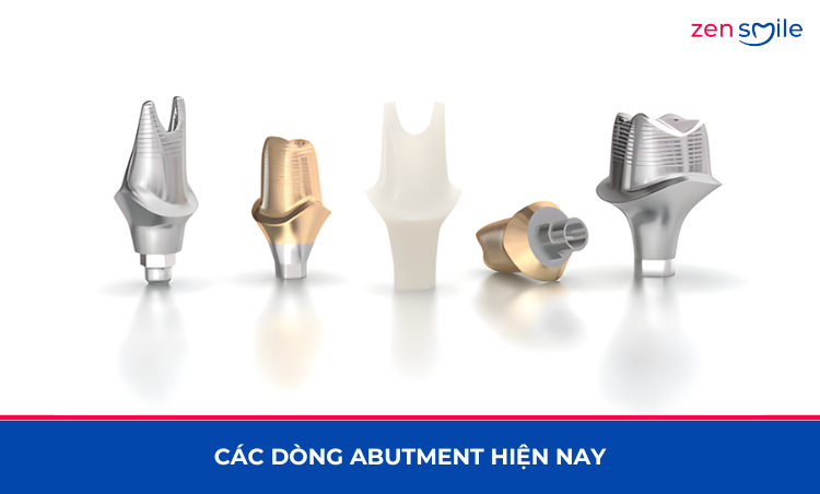 Abutment Customized Sứ (USA) — ảnh 5