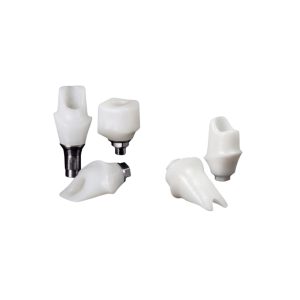 Abutment Customized Sứ (Korea)